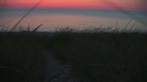Walk through dune grass at sunset Stock Footage 7762680