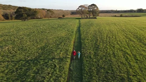 A walk through the fields Stock-Footage 145156888