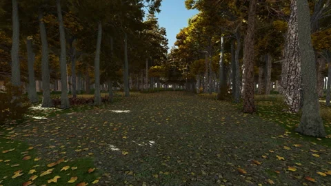 A walk through the forest during autumn season 스톡 동영상 243176580