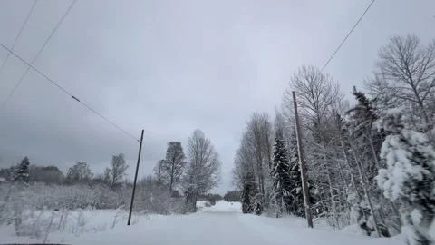 Walk through the forest, path full of snow. Vídeo Stock 291990656