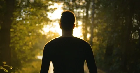 Walk through forest super slow motion 4k version 2 Video stock 113614542