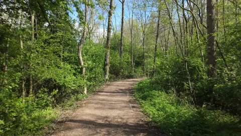 Walk through the forest trail at The Hamptons Stock Footage 333266620