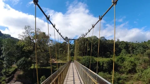 Walk through on a hanging  bridge on river in a thick forest, India Stock Footage 119313869