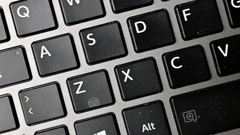A walk through the keyboard of a laptop Stock Footage 220649411