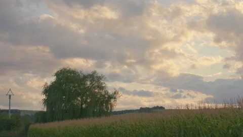 A walk through a landscape of fields, with the setting sun hidden behind clouds Stock-Footage 347948628