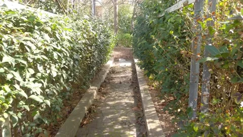 Walk through luxtrum Stock Footage 235880016