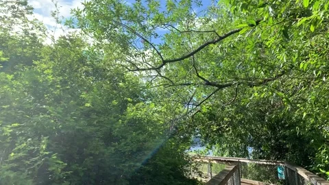 A walk through nature Vídeos de archivo 134841935