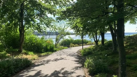 A walk through nature Vídeos de archivo 134844072