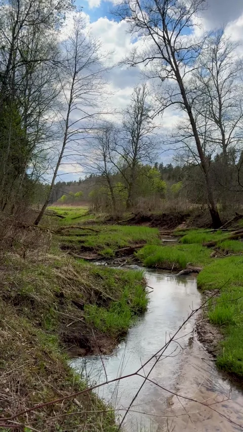 A walk through a nature reserve in spring Stock Footage 334232292