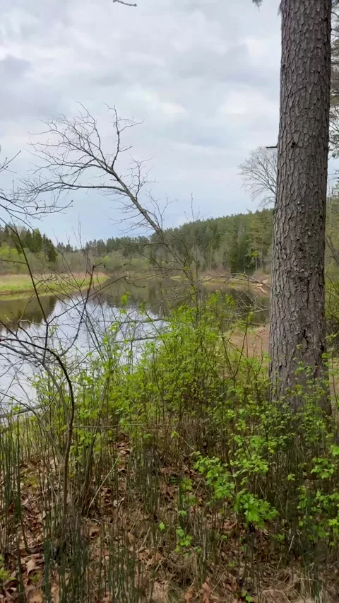 A walk through a nature reserve in spring Stock Footage 334232295