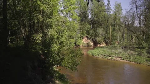 A walk through a nature reserve in spring Stock Footage 335743647