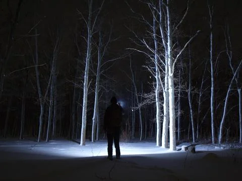Walk through the night forest Foto stock