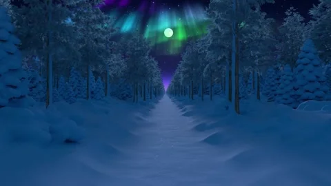 Walk through night moonlit winter forest Stock Footage 339036017