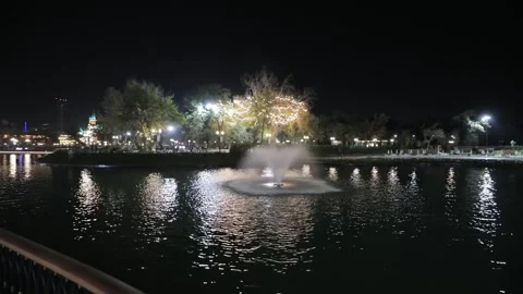 A walk through the night park among the trees along the shore of the lake with Stock Footage 310238216