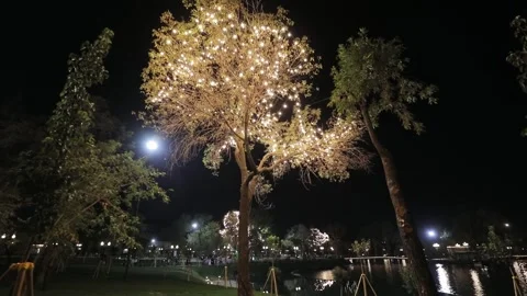 Walk through the night park with illuminated trees along the shore of the lake. Stock Footage 310238381