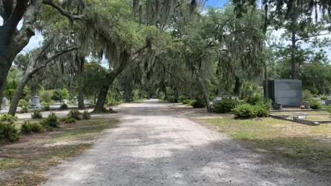 Walk Through Old Cemetery 03 UHD Stock Footage 178992396