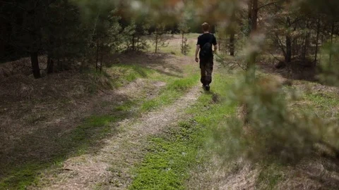 Walk through the pine forest. 動画素材 75751934