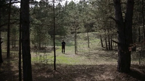 Walk through the pine forest. 動画素材 75752025