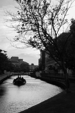 Walk through the ria of aveiro Stock Photos