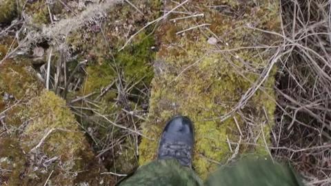 Walk Through a Ruined Structure in the Forest Stock Footage 136040473