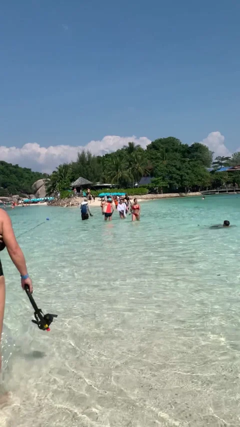 Walk through Shallow Water Vertical HD Stock Footage 175934700