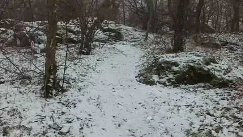 A Walk Through the Snow in a Cold Day at the Forest of Strandzha Mountain Motion Stock Footage 106348105