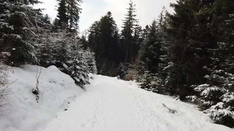 Walk through a snowy landscape with deep snow Stock Footage 146816634