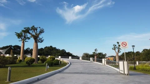 Walk through Sultan Omar 'Ali Saifuddien Pedestrian Bridge Stock Footage 101148537