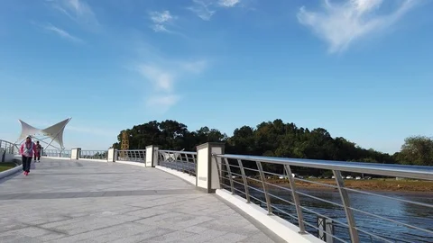 Walk through Sultan Omar 'Ali Saifuddien Pedestrian Bridge Stock-Footage 101150236