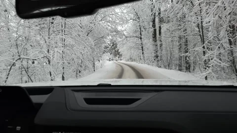 A walk through the winter forest by car. White snow lies on the ground and trees 動画素材 300116545