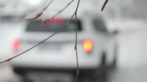 A walk through the winter forest by car. White snow lies on the ground and trees 動画素材 300116548