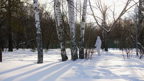 A walk through the winter forest. Stock Footage 168859734