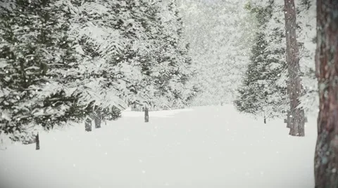 Walk through winter forest to small wooden house Chalet Snowfall Stock-Footage 57321667