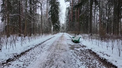 A walk through the winter park on a cloudy day. Slowmotion 스톡 동영상 323342896
