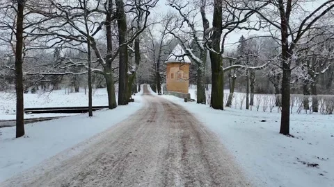 A walk through the winter park on a cloudy day. Slowmotion Vídeos de archivo 323342912