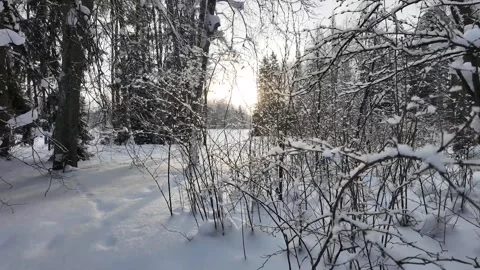 A walk through the winter park. Slowmotion Stock Footage 332159082