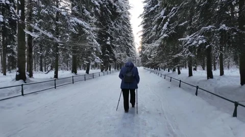 A walk through the winter park. Slowmotion Vídeos de archivo 332159083