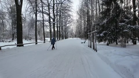A walk through the winter park. Slowmotion Video stock 332159126