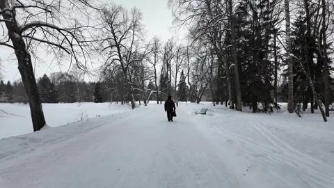 A walk through the winter park. Slowmotion Vídeos de archivo 332159176