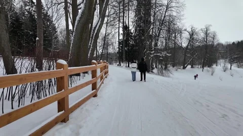 A walk through the winter park. Slowmotion 動画素材 332159219