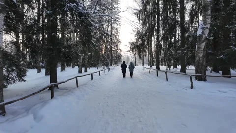 A walk through the winter park. Slowmotion Vídeos de archivo 332159238