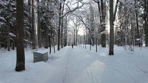A walk through the winter park. Slowmotion Stock Footage 332159287