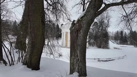 A walk through the winter park. Slowmotion Stock-Footage 332159292
