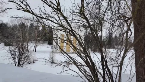 A walk through the winter park. Slowmotion Video stock 332159294