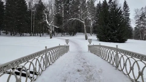 A walk through the winter park. Slowmotion Vídeos de archivo 332159312