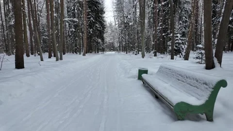 A walk through the winter park. Slowmotion Video stock 332159414