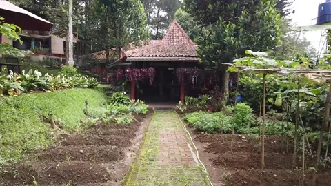 Walk towards the pavilion 動画素材 245142561