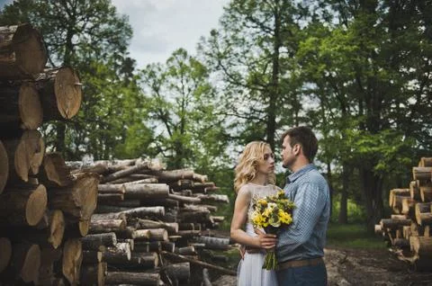 Walk in a tree felling 3230. Stock Photos