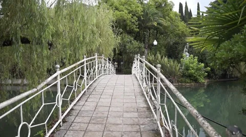 Walk on a tropical park Stock-Footage 56276461