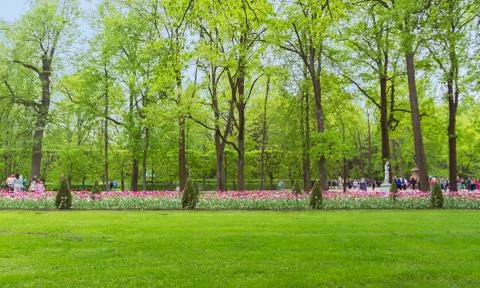 Walk of tulips Stock Photos